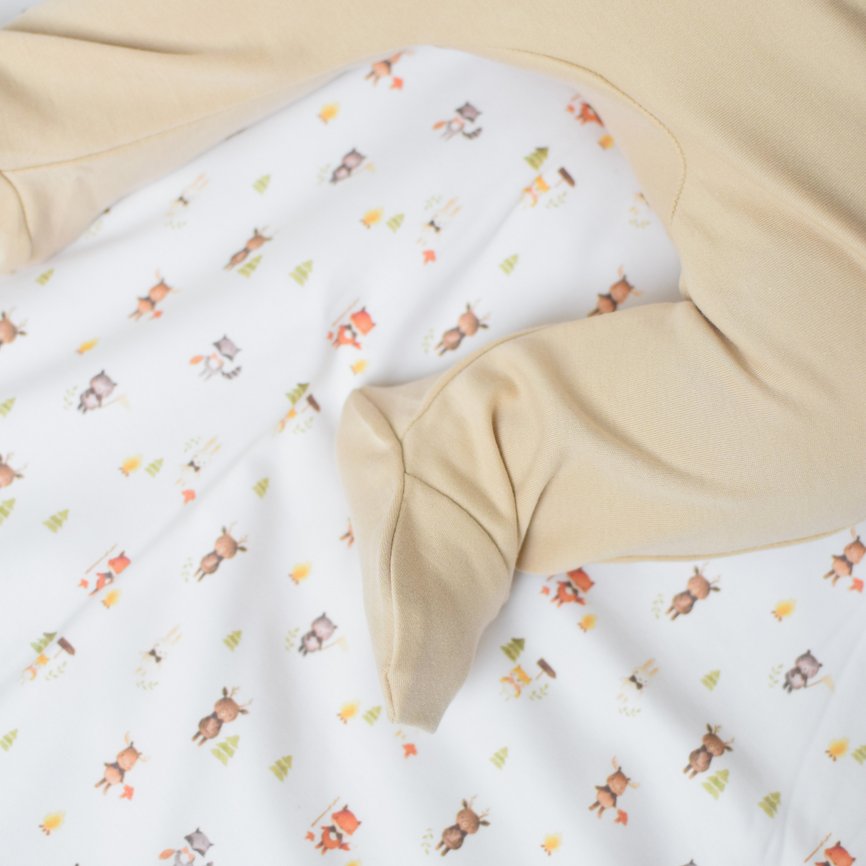 Set Esencial Body + Pantalón Pretina Ancha | Algodón Pima
