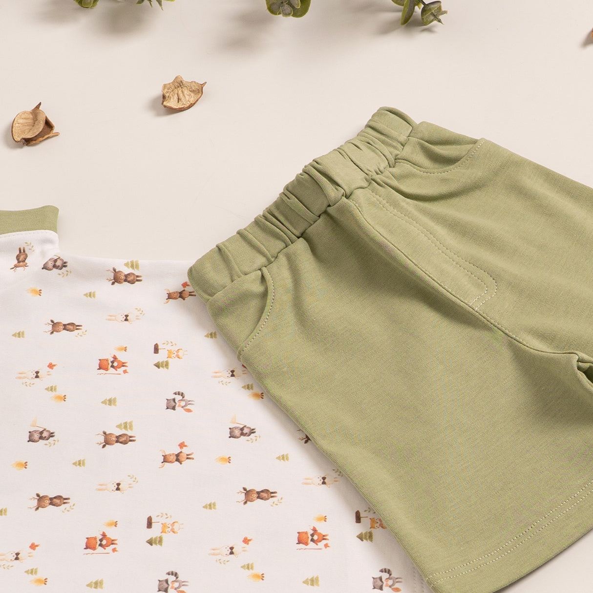 Conjunto Animalitos del bosque