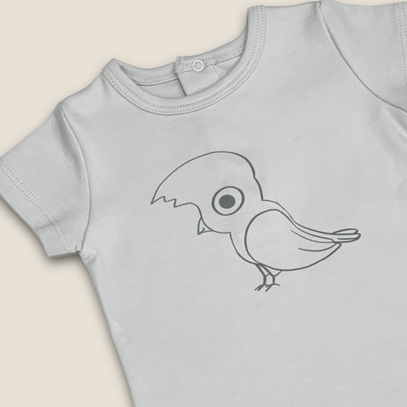 Romper Gallito de las Rocas